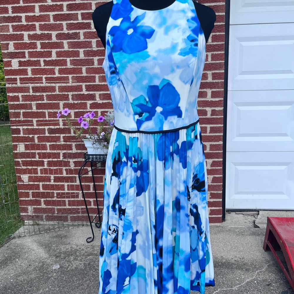 Blue Floral Sleeveless Dress